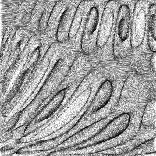 Biomechanical Turtle