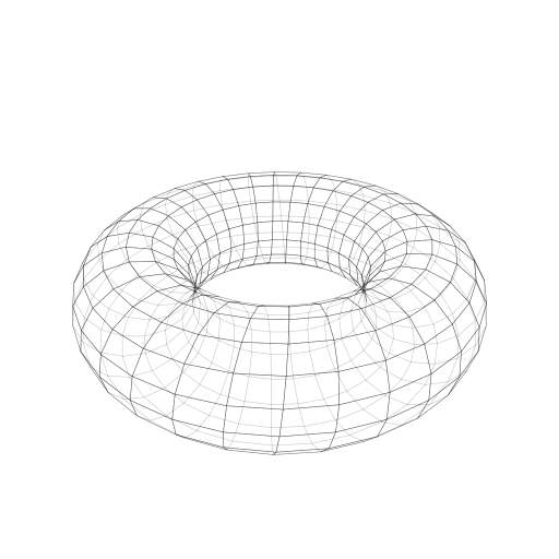 turtle torus