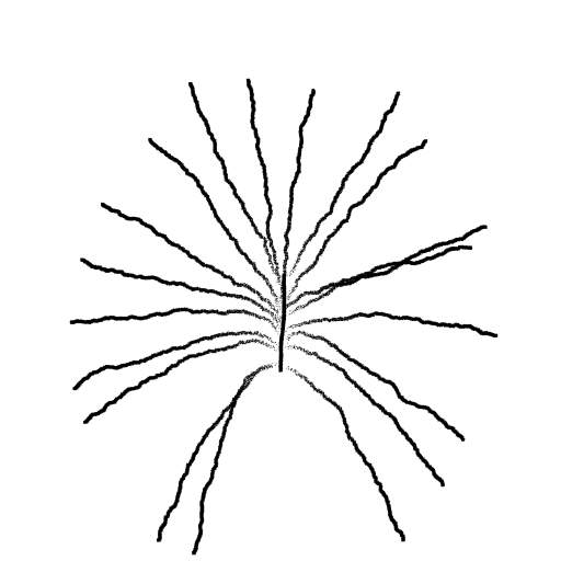 BarkBeetleGalleryGenerator