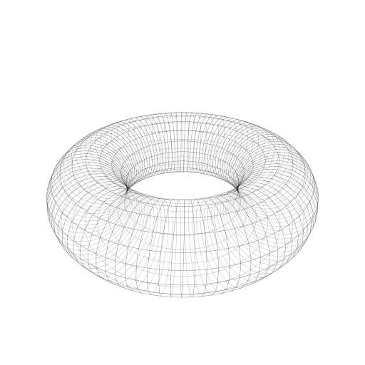 Fork: turtle torus