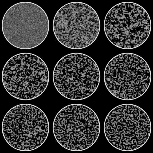Belousov–Zhabotinsky reaction