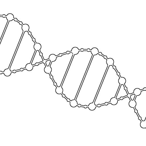 DNA