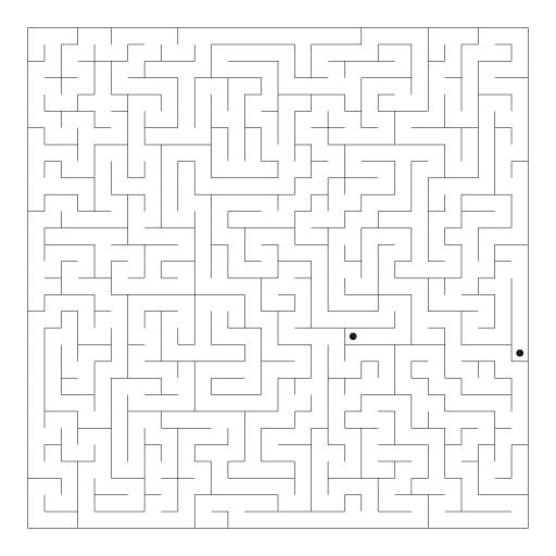 Maze
